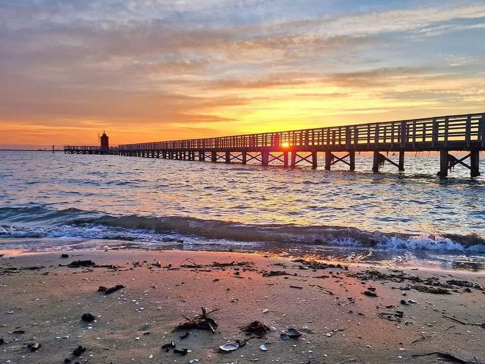 33-Immagine WhatsApp 2025-02-04 ore 18.07.57_f1dcc5af.jpg