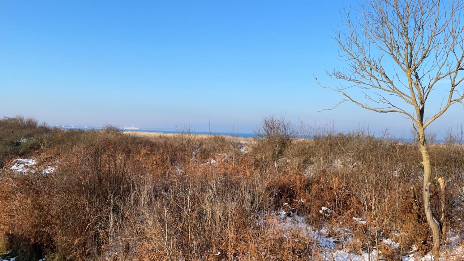 33c9e68b-8b67-41dc-be70-d58ff4bfc233 (2).JPG