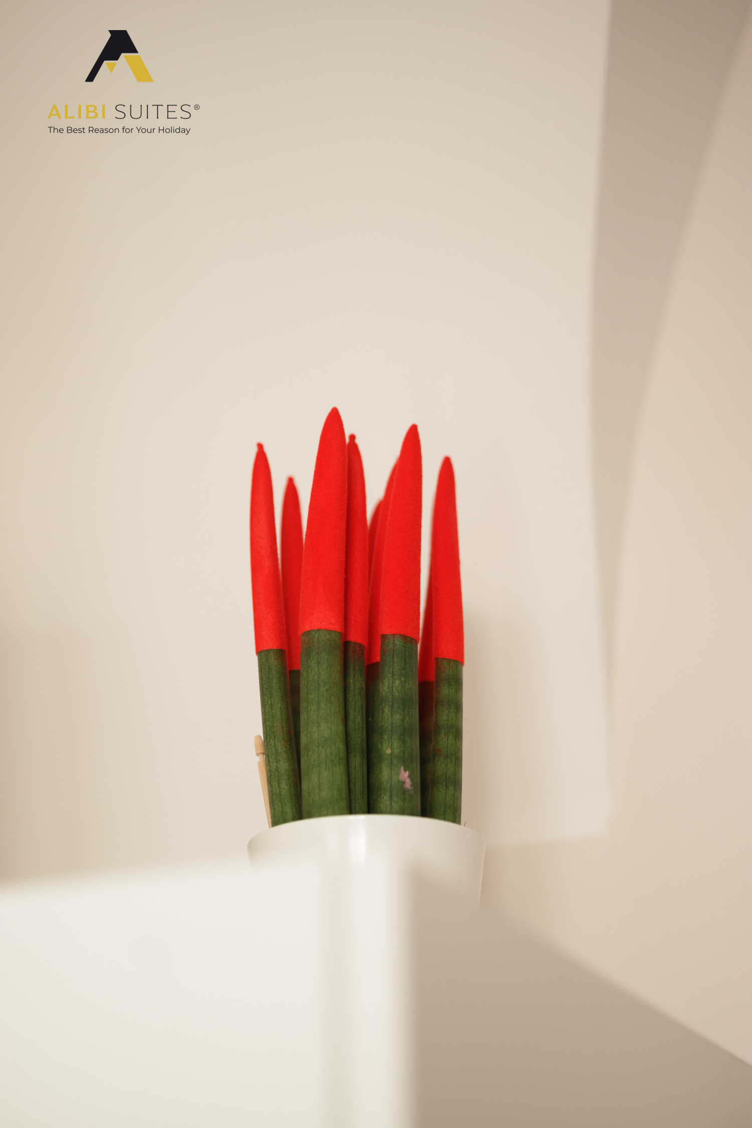 alibi suites-642.jpg