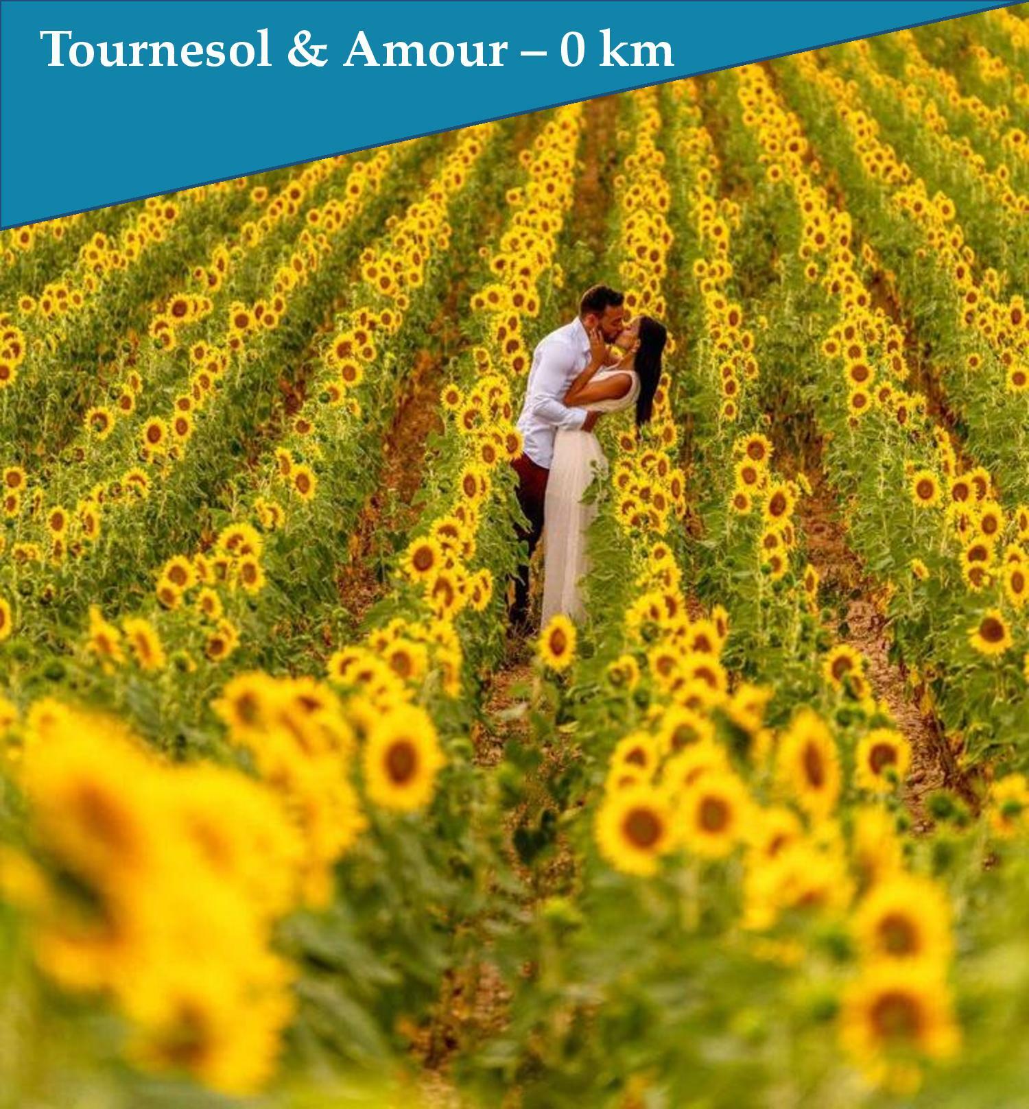 005 - Tournesol et Amour - Les Bastidons de l'Isle.jpg