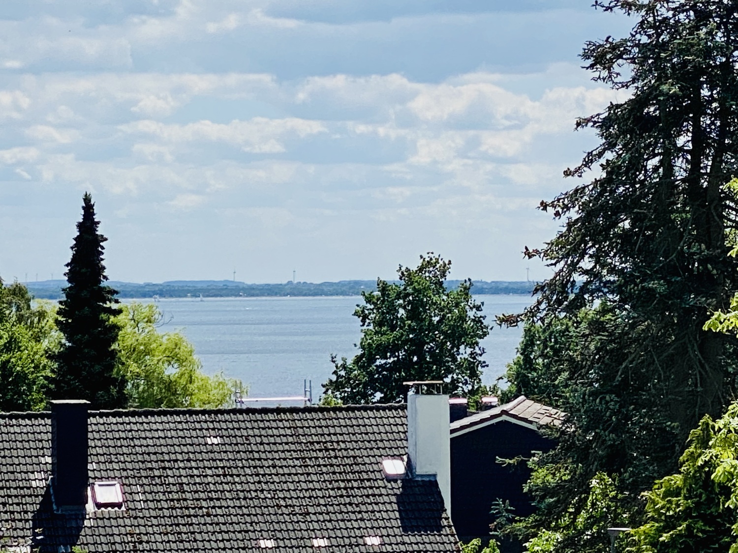 Foto 02.07.22, 13 08 21.jpg