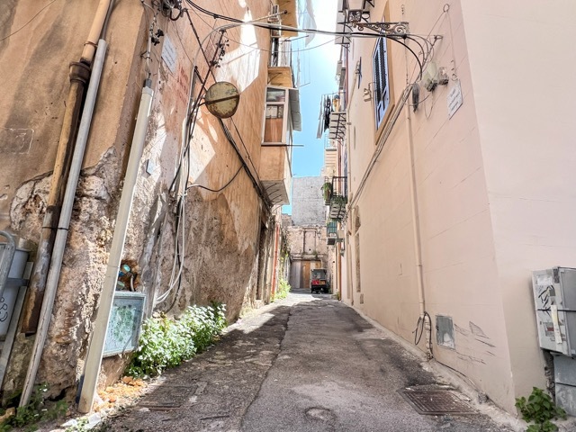 IMG_3605 copia Media.jpeg