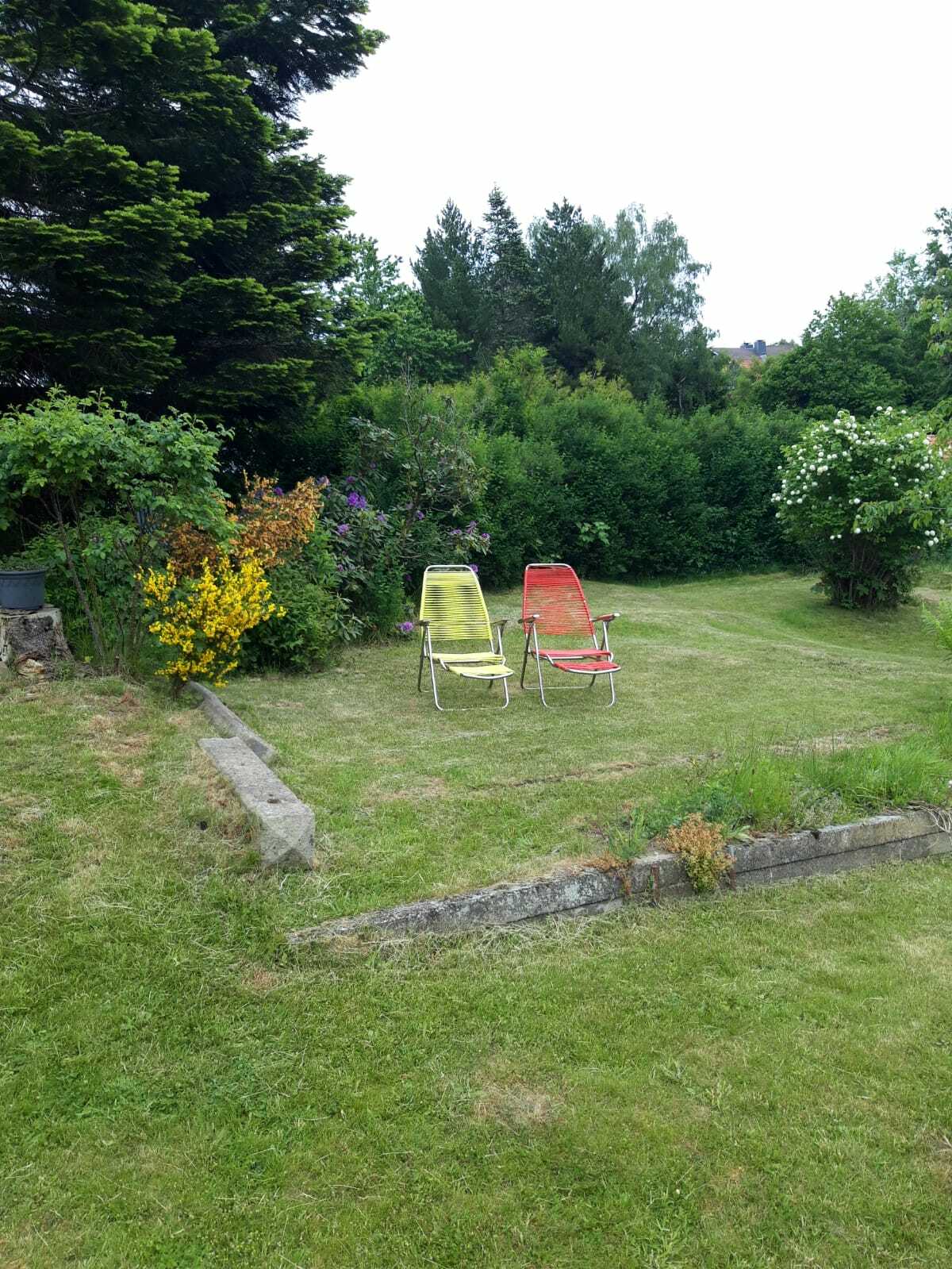 WhatsApp Bild 2023-12-02 um 11.55.47_feda4d21.jpg