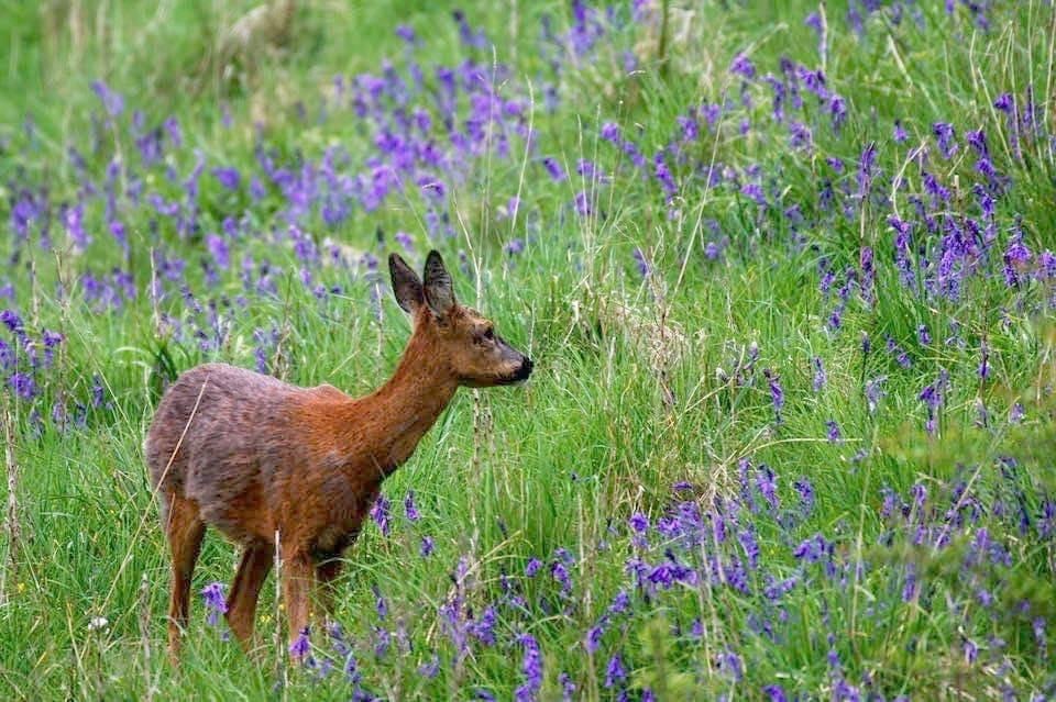 IMG_0185 16.11.18.JPG