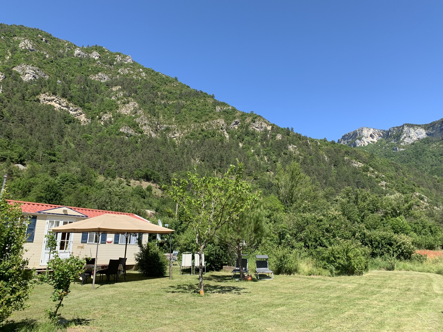 2019-06-08 15.32.54.jpg