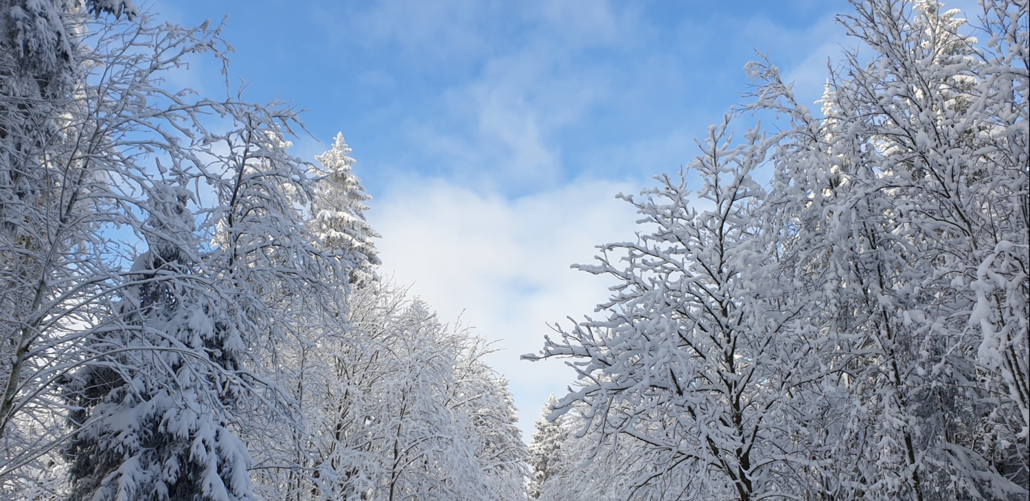 Winterlandschaft umgebung (2).jpg