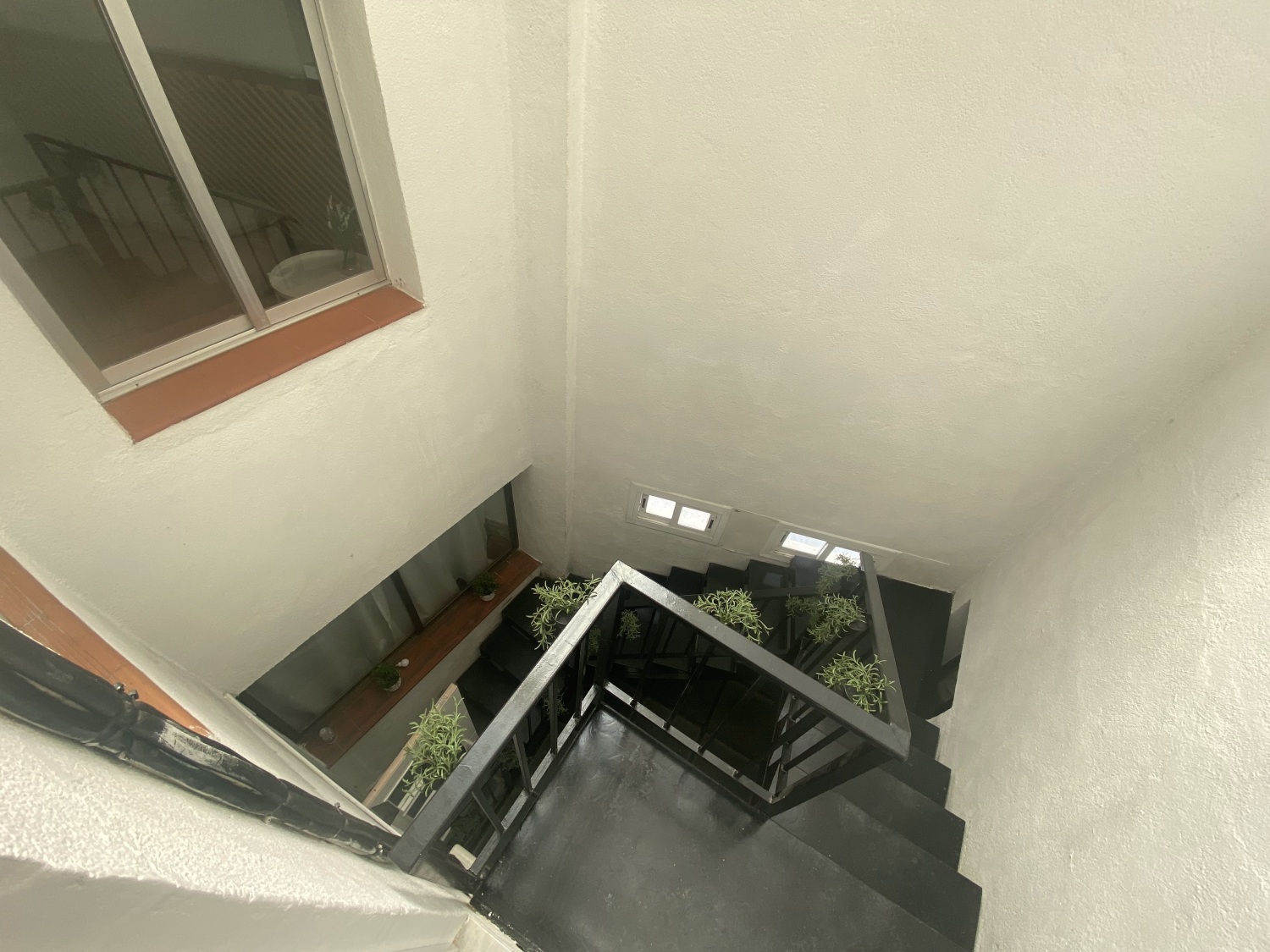 HALL Y OTROS  (1).jpg