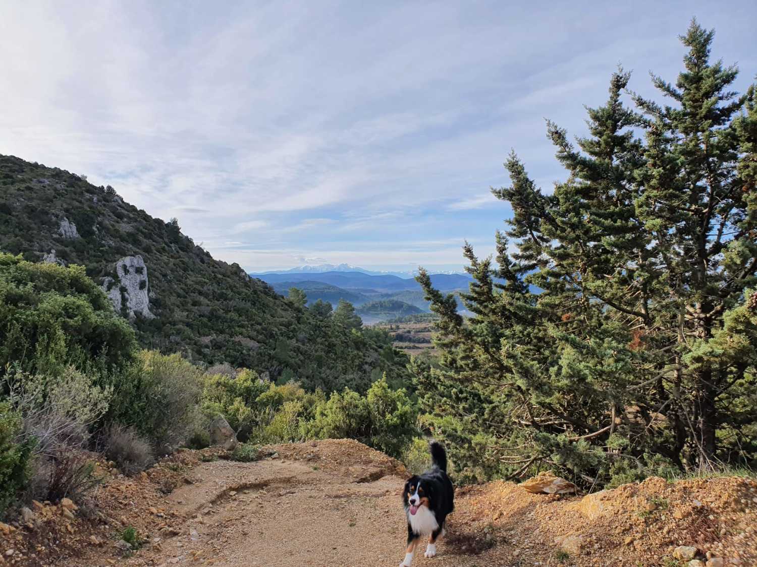 WhatsApp Image 2022-01-18 at 07.46.11.jpeg