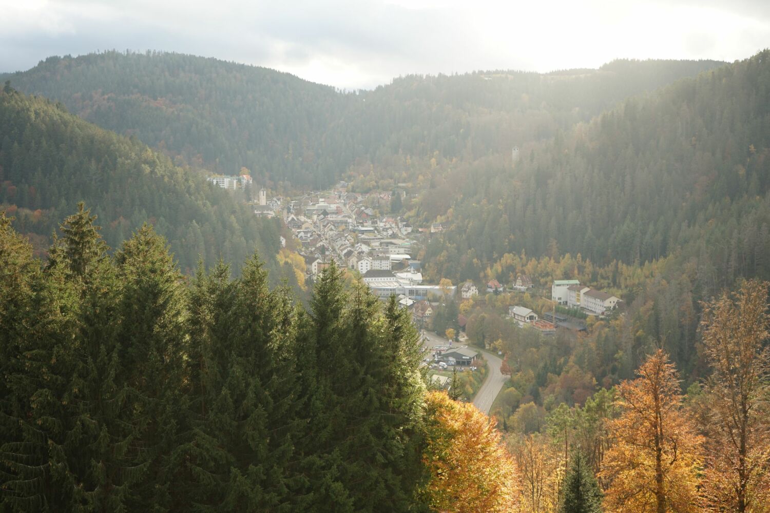 L39 Ausblick auf Triberg.jpg