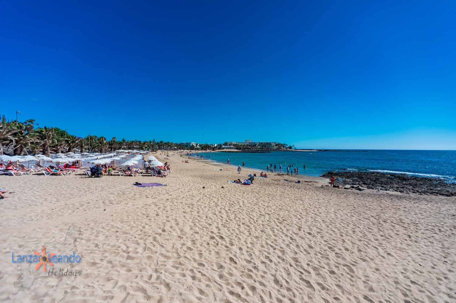 WhatsApp Image 2024-06-18 at 11.37.15.jpeg