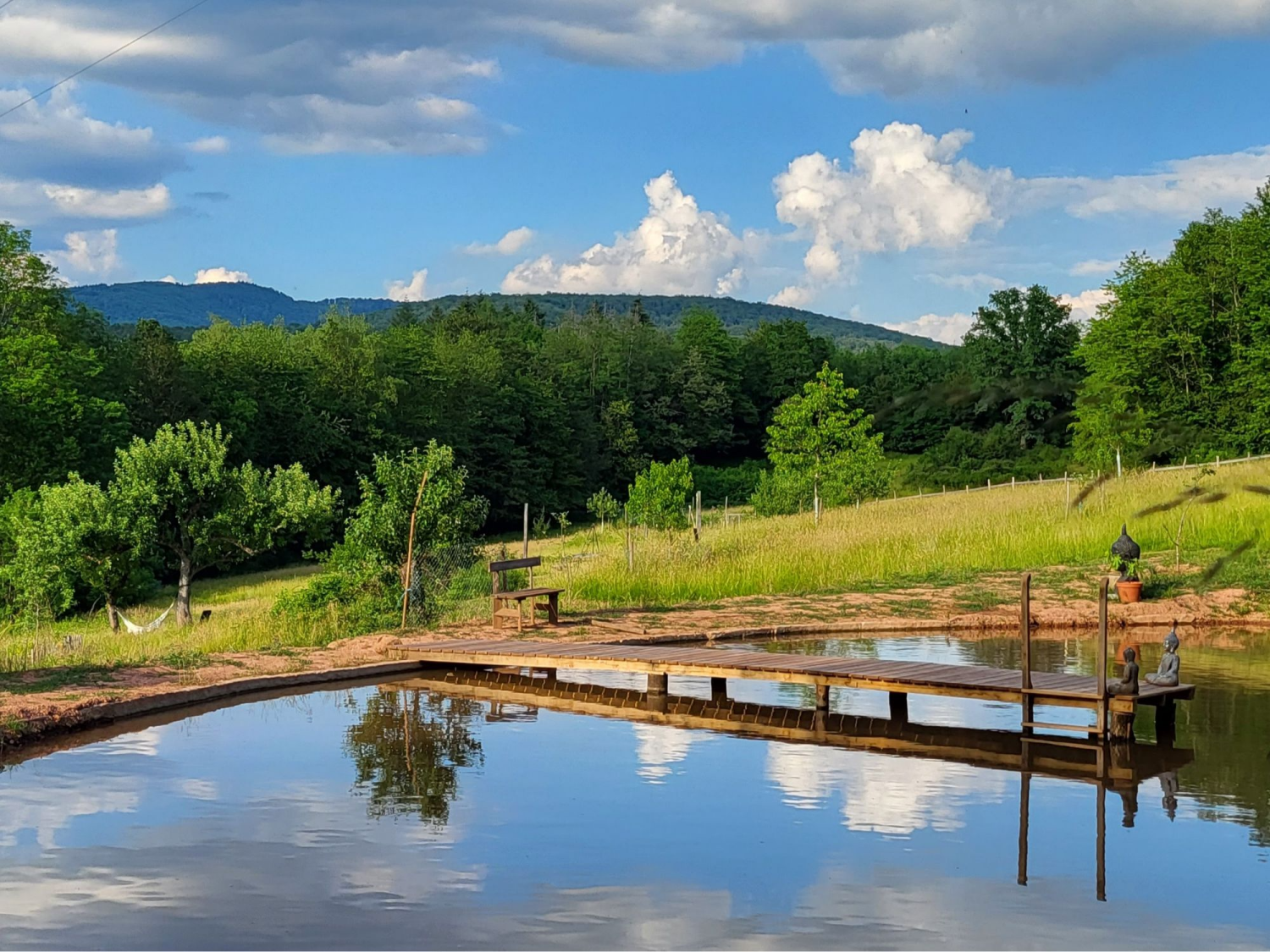 Textkachel universell (3).png