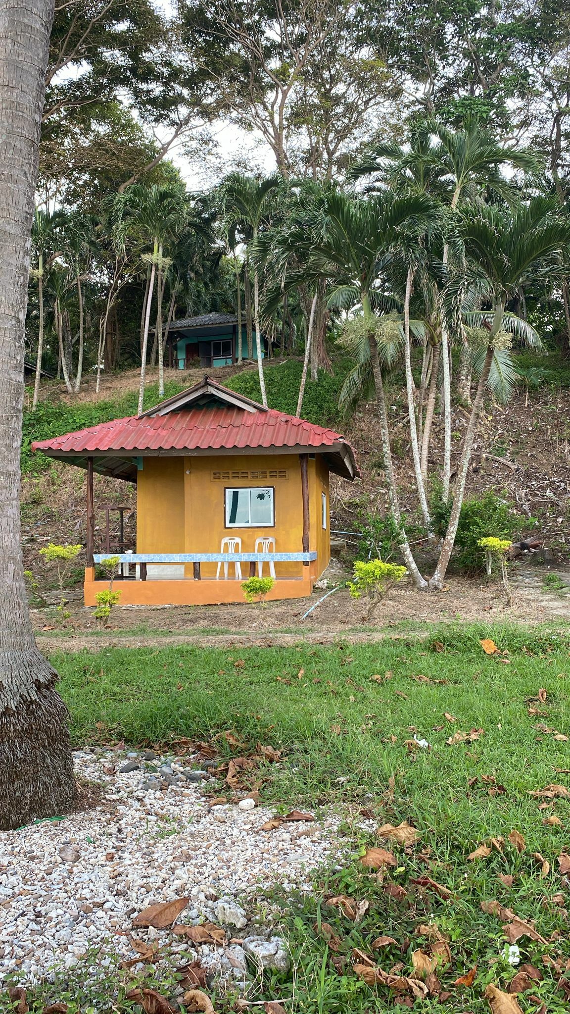 2024-11-10 11.00.01.jpg