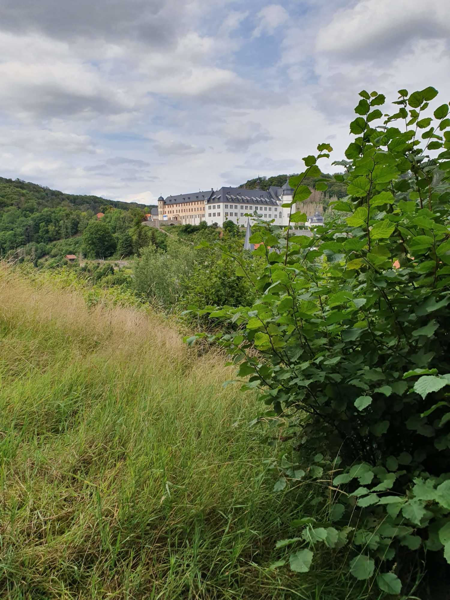 WhatsApp Image 2021-11-30 at 14.38.55 (1).jpeg