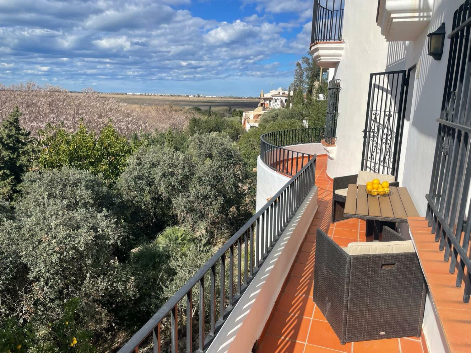 WhatsApp Image 2024-03-12 at 15.45.48.jpeg