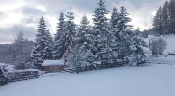 Screenshot 2024-09-19 121337.jpg