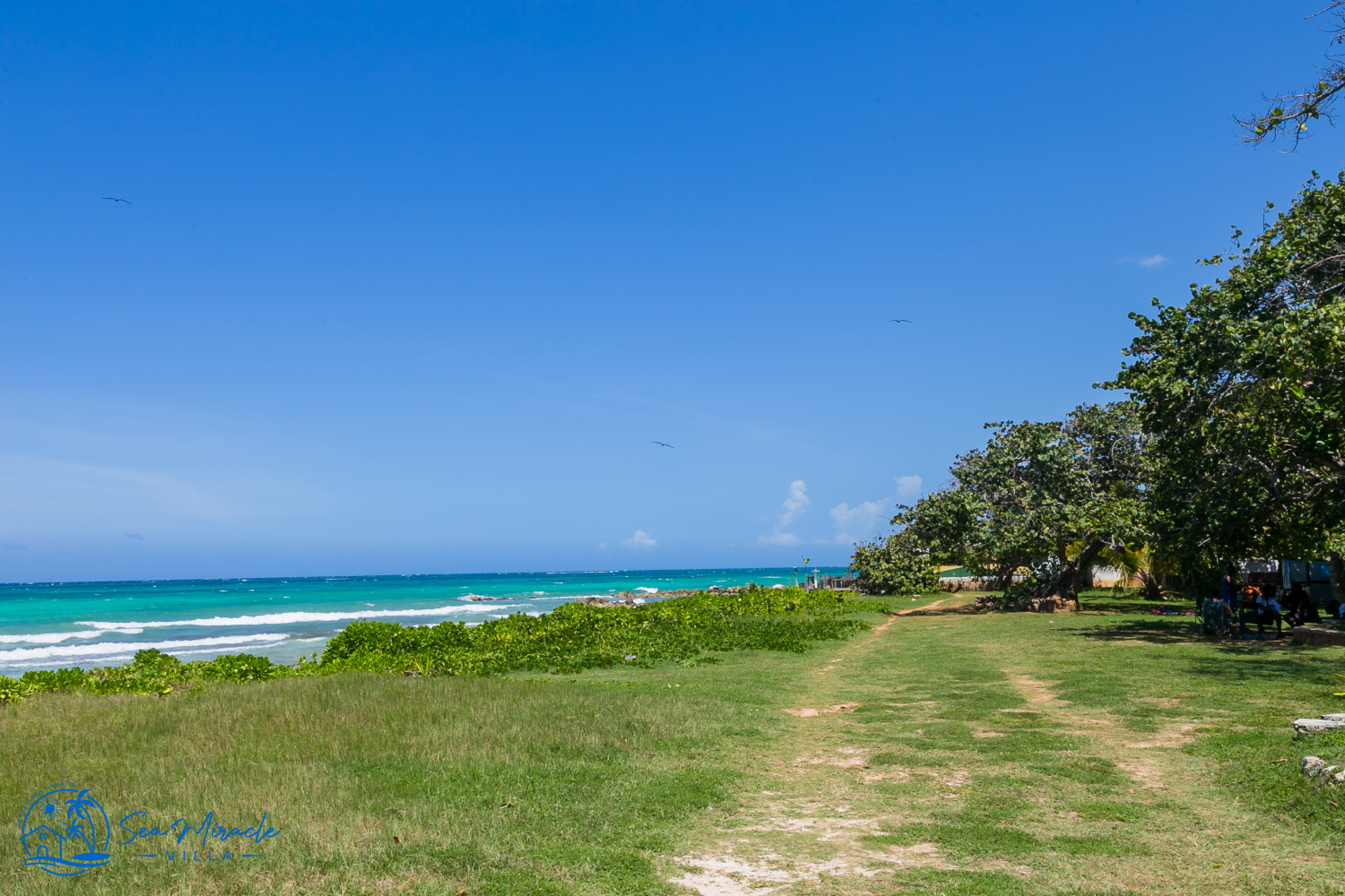 sea-miracle-sea-miracle-villa-duncan-bay-jamaica