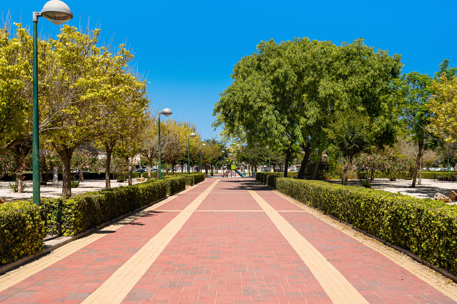 Gladiolo 52 - Pilar de Horadada (45).jpg