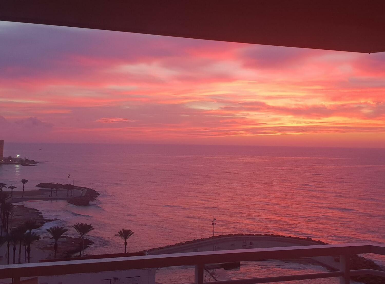 WhatsApp Image 2024-06-29 at 4.01.47 p. m. (2).jpeg