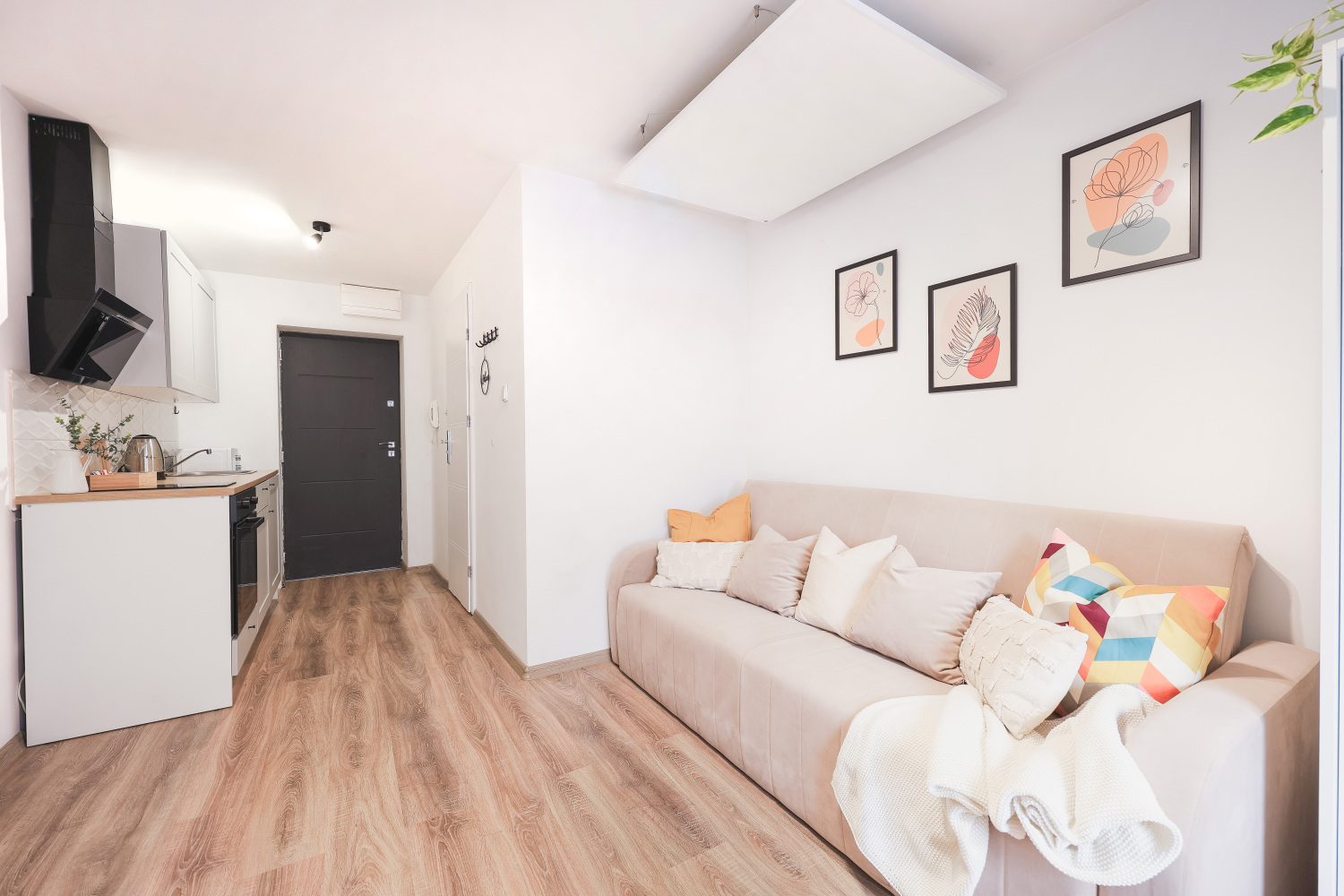 otwarta przestrzeń w mieszkaniu na wynejem Łódź nawrot.jpg