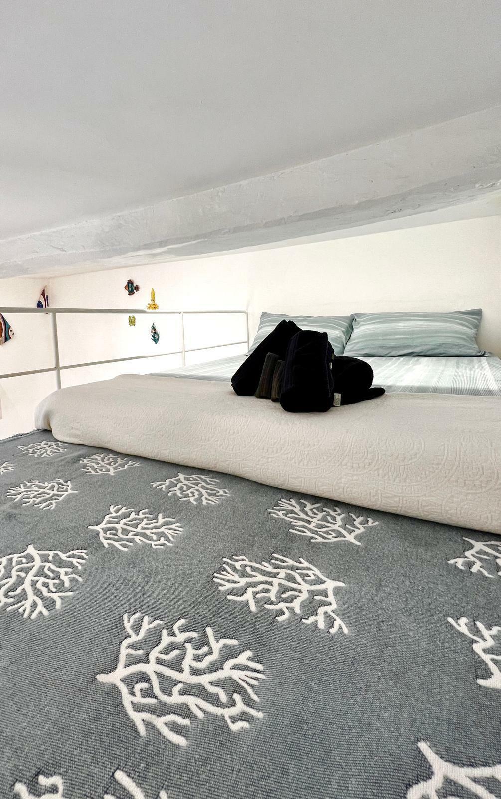 WhatsApp Image 2025-05-12 at 4.39.17 PM (4).jpeg