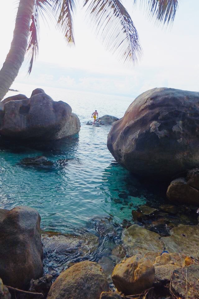 SmallBeach-low tide.jpg