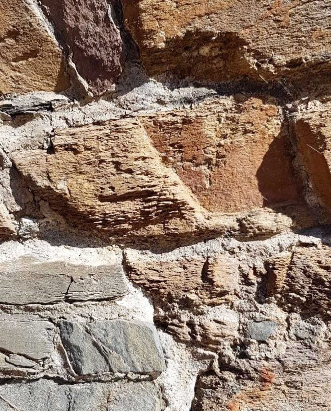 WhatsApp Image 2021-11-30 at 14.44.05.jpeg