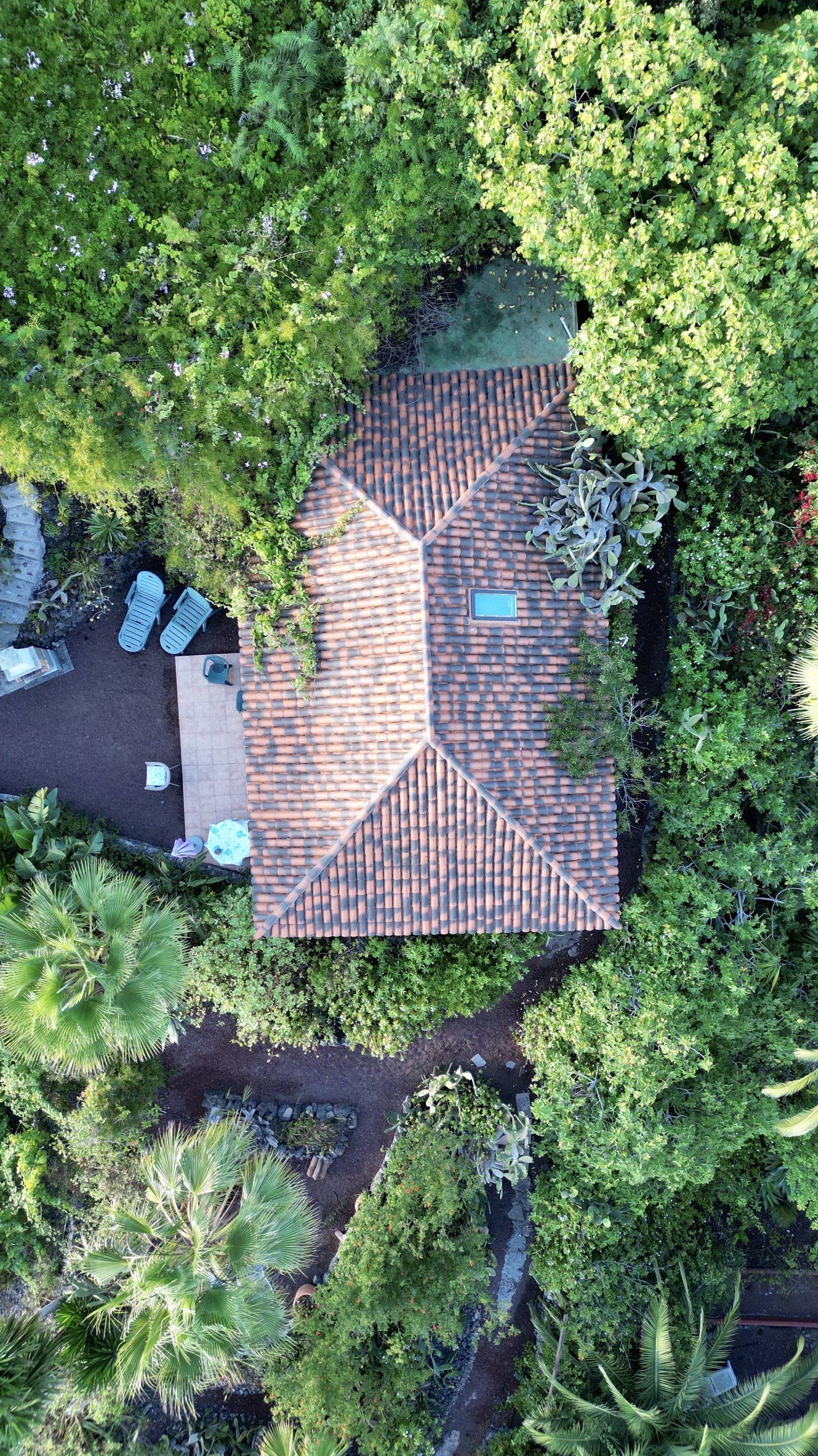 Sabina Draufsicht.jpg