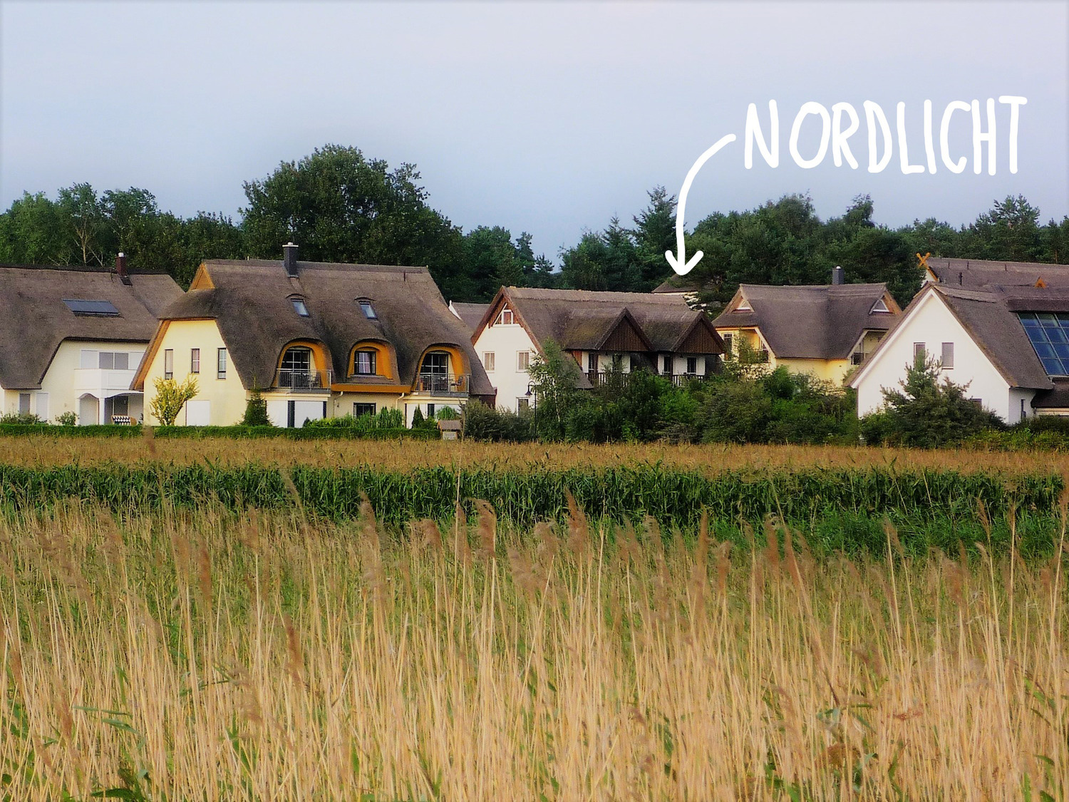 P1050607 - Diplomatenweg-vom-Deich.jpg