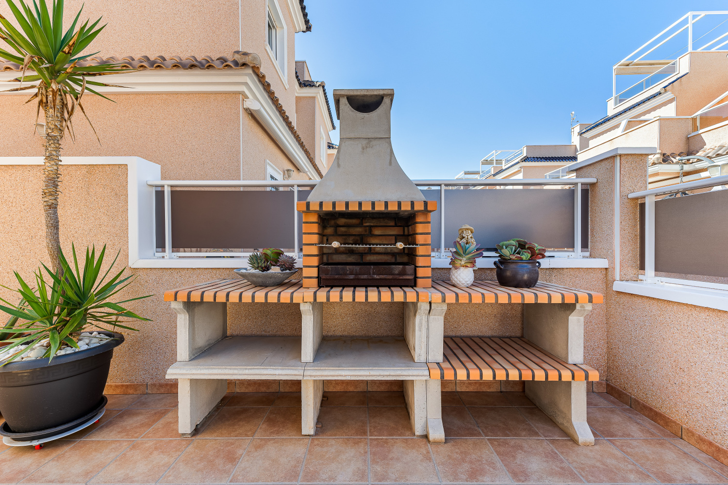 Gladiolo 52 - Pilar de Horadada (8).jpg