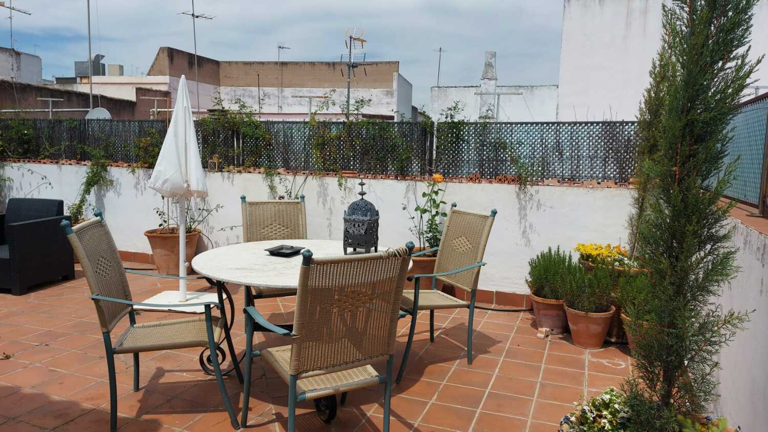 WhatsApp Image 2021-05-16 at 17.42.35 (3).jpeg