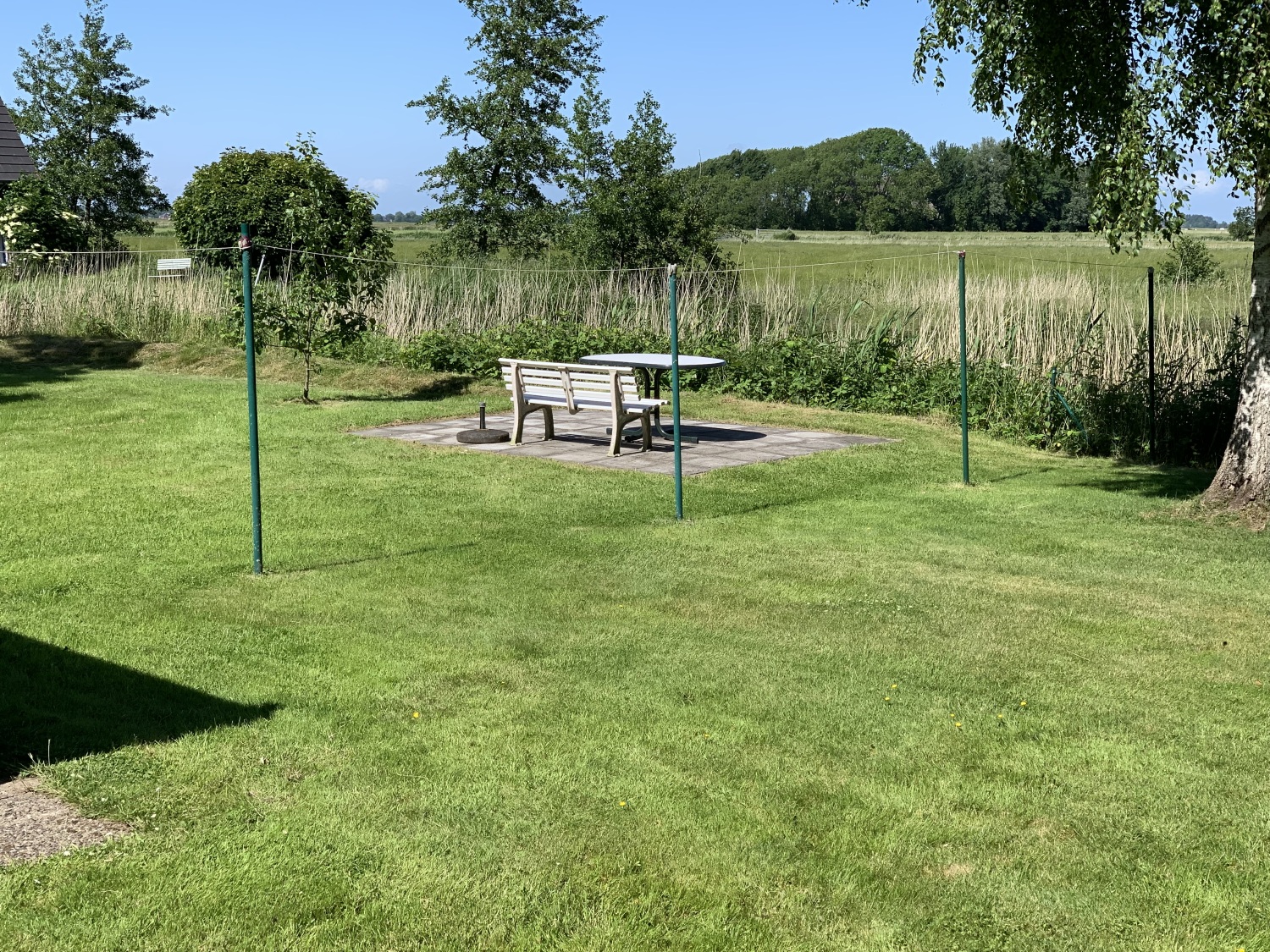 06 2022 Garten 4.jpg