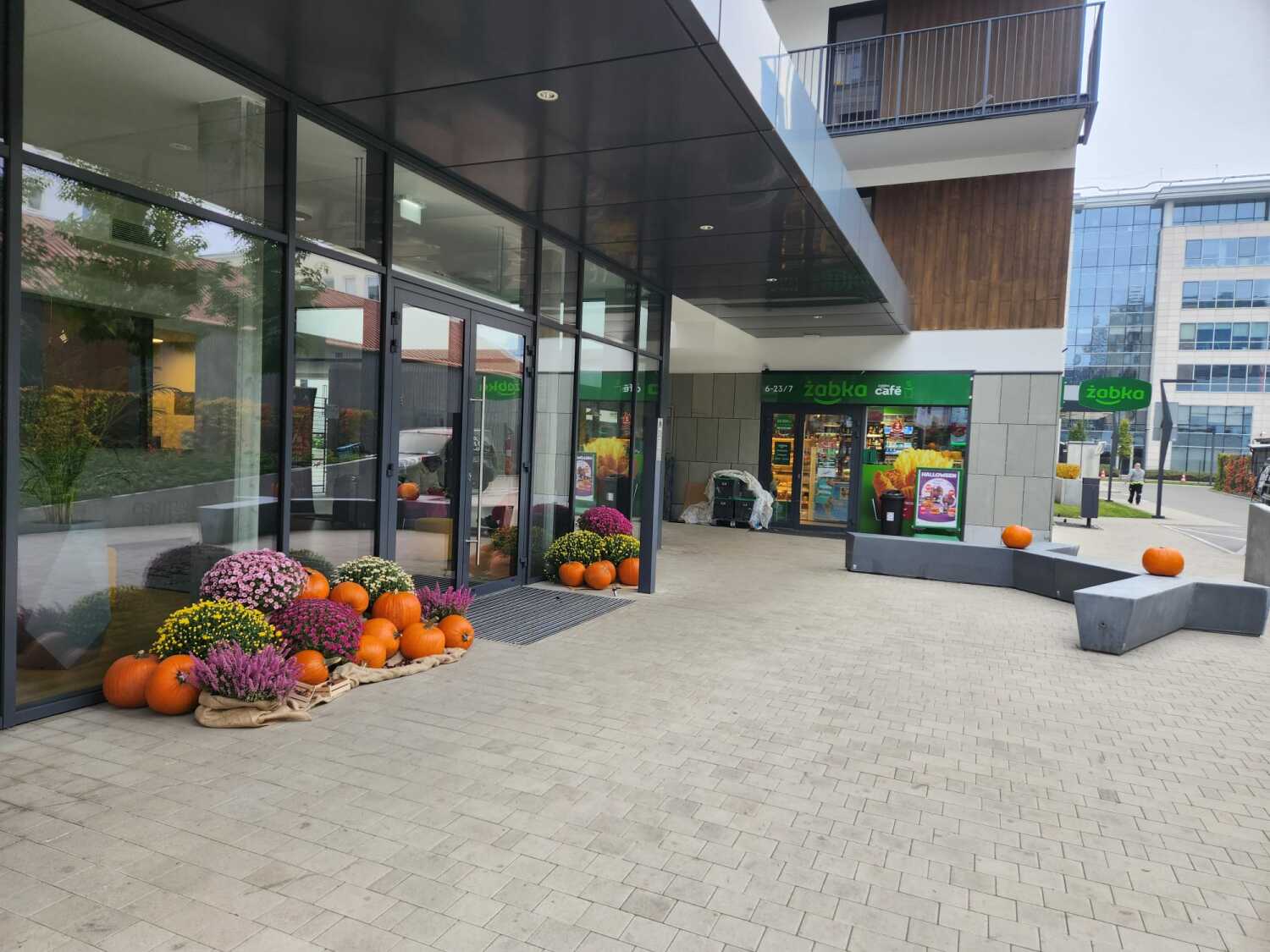 pumpkin i zabka na zewnatrz.jpg