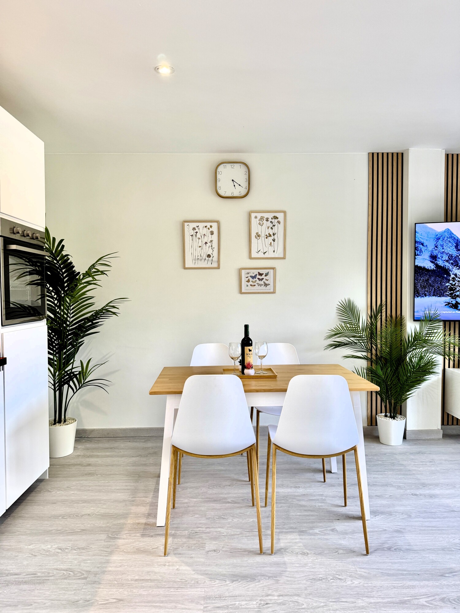 Sofia apartment living area
