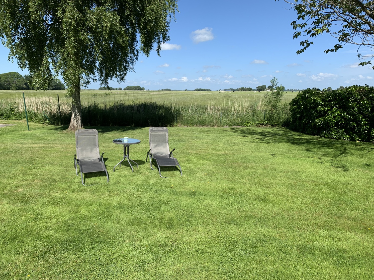 06 2022 Garten 3.jpg