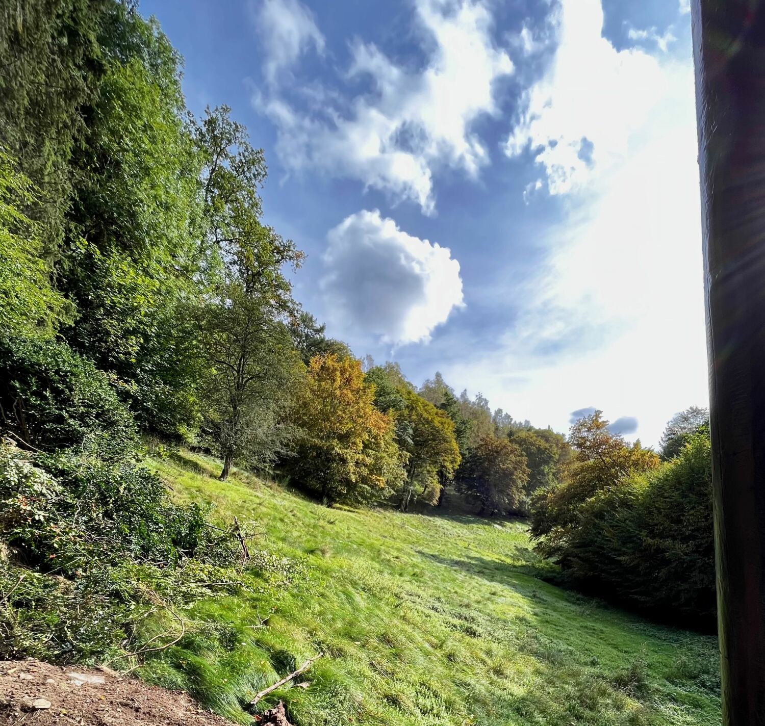 FullSizeRender (7).jpeg