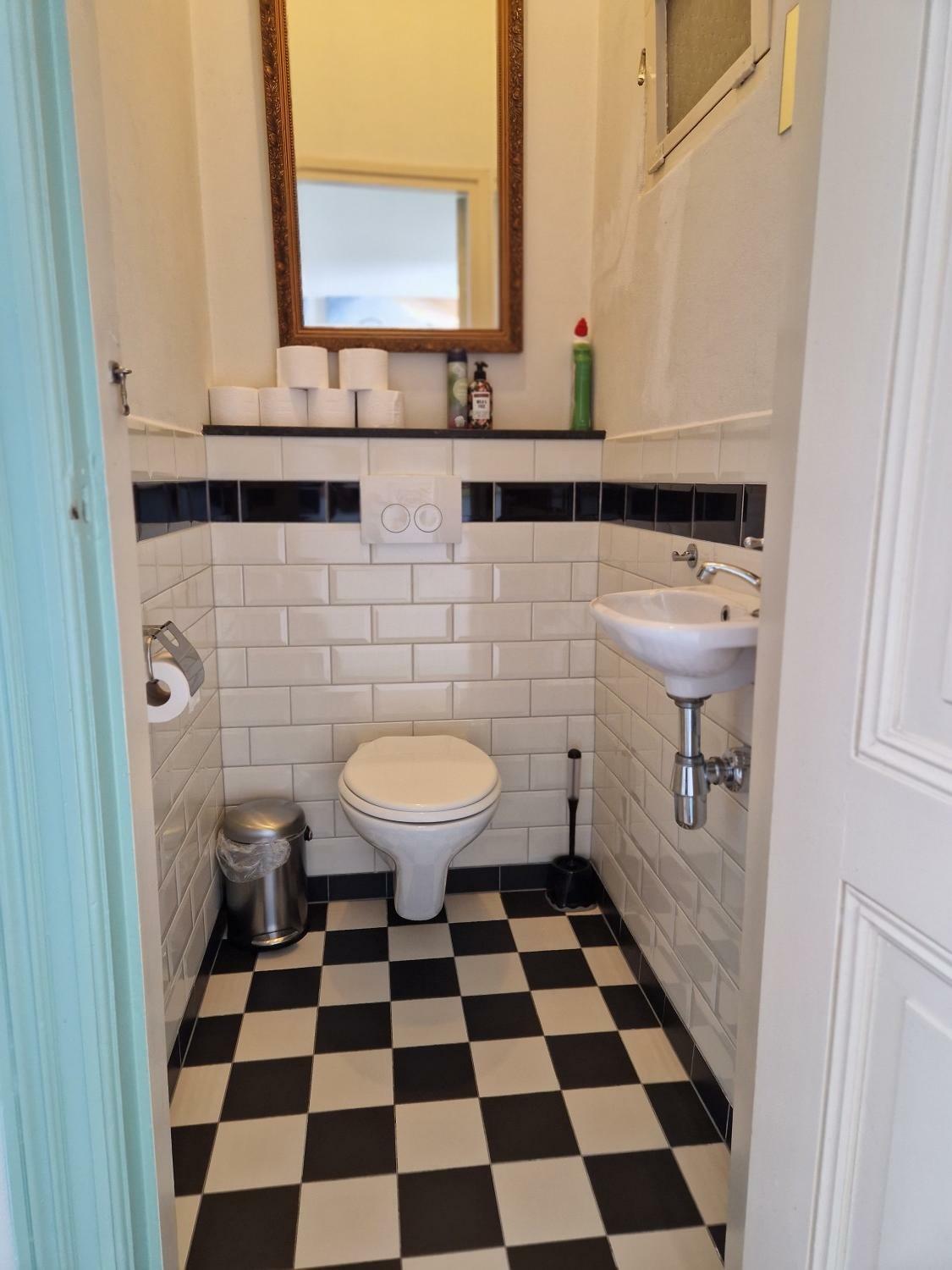 toilet2.jpg