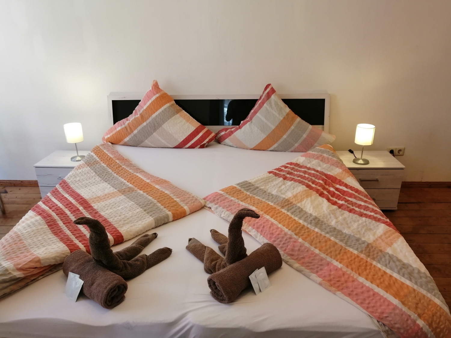 #3 schlafzi front niedrig.jpg