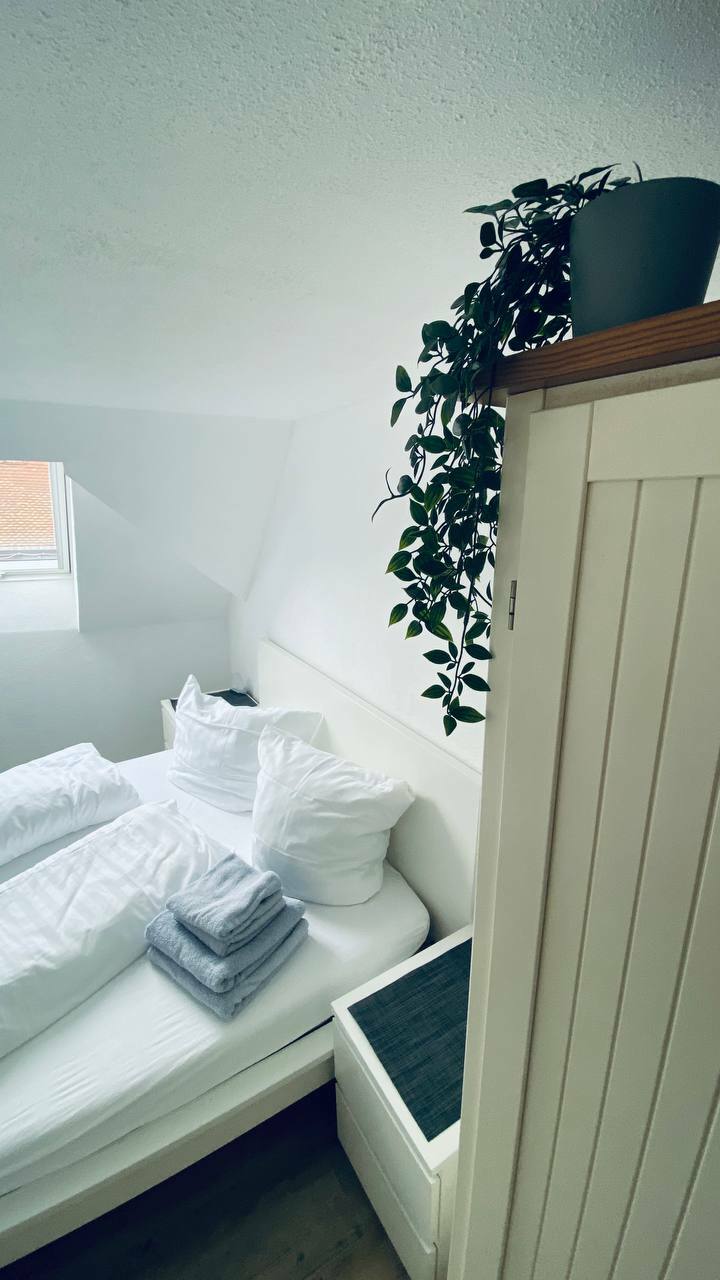 photo_2023-02-23_14-02-16 (2).jpg