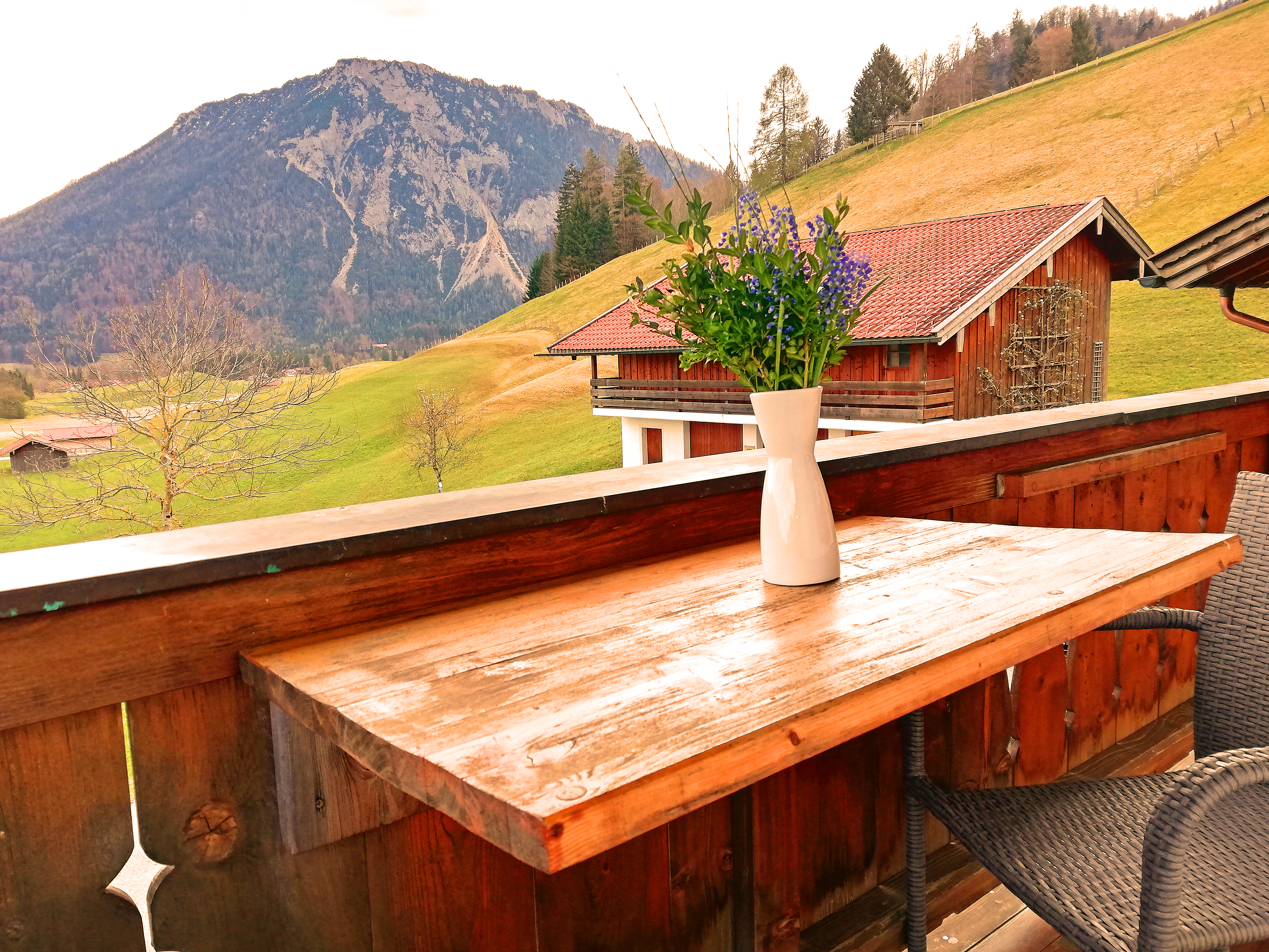 Sicht balkon Rauschberg.jpg