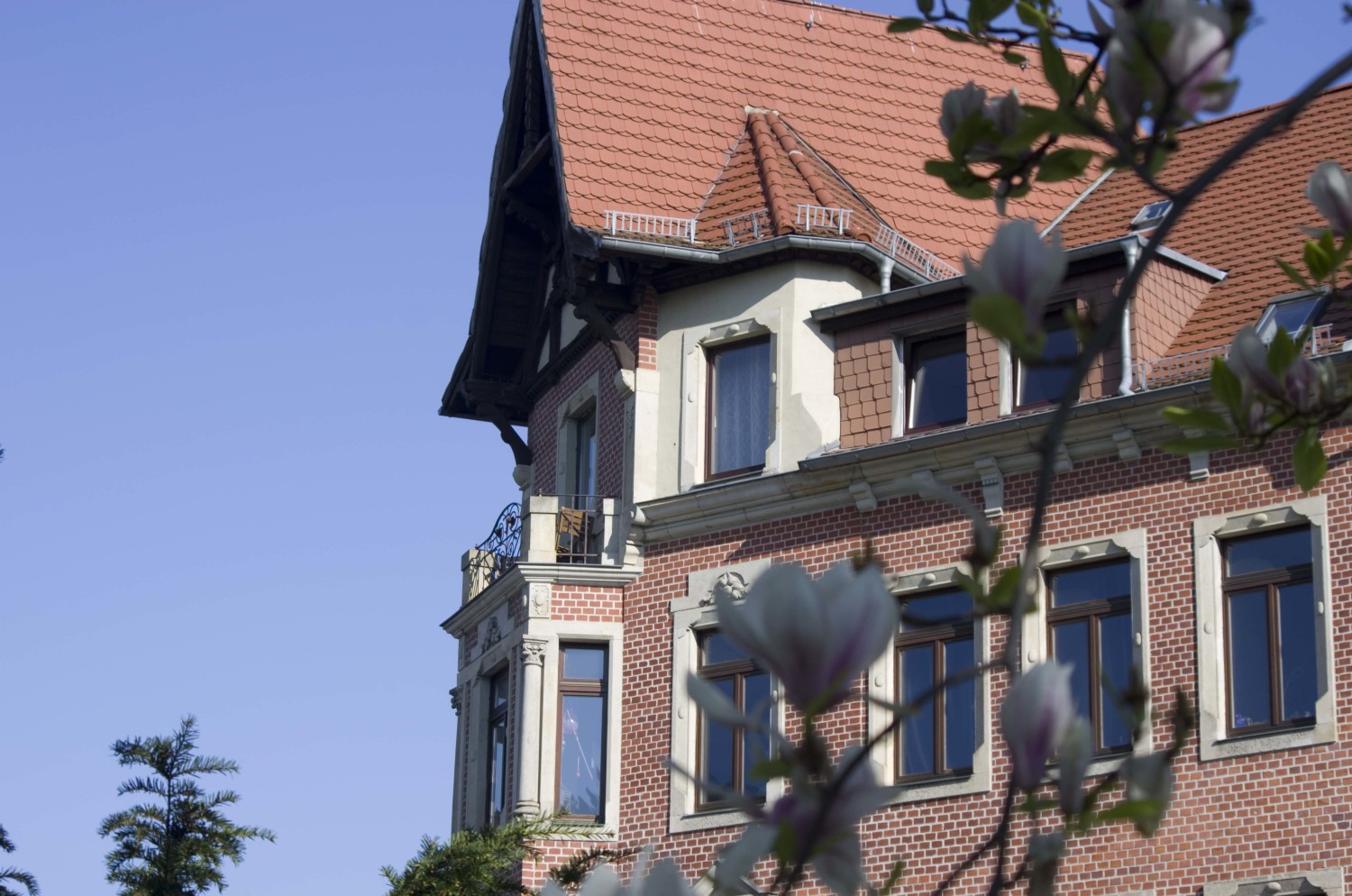 Magnolie und Balkon.JPG