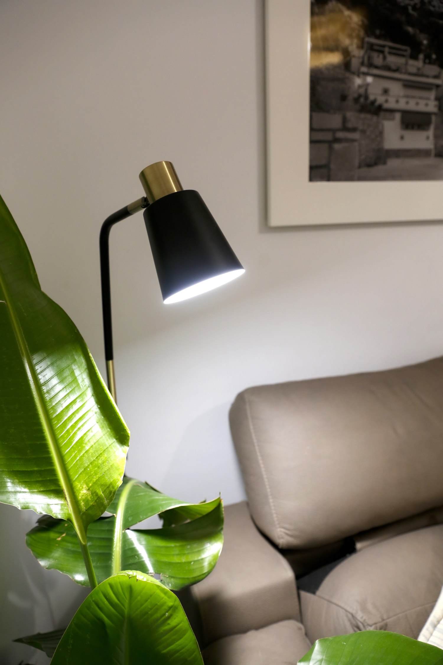 01 13012025-189-157 (19).jpg