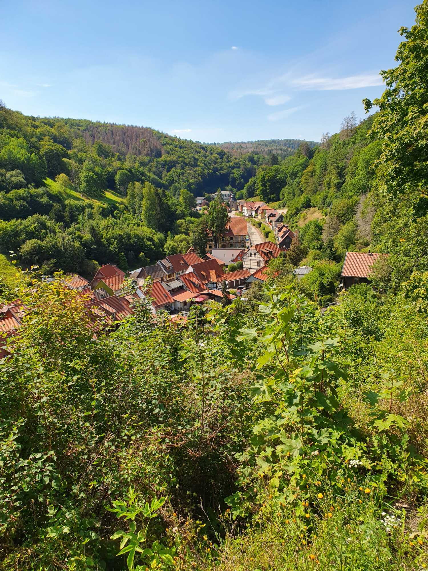 WhatsApp Image 2021-11-30 at 14.40.37 (1).jpeg