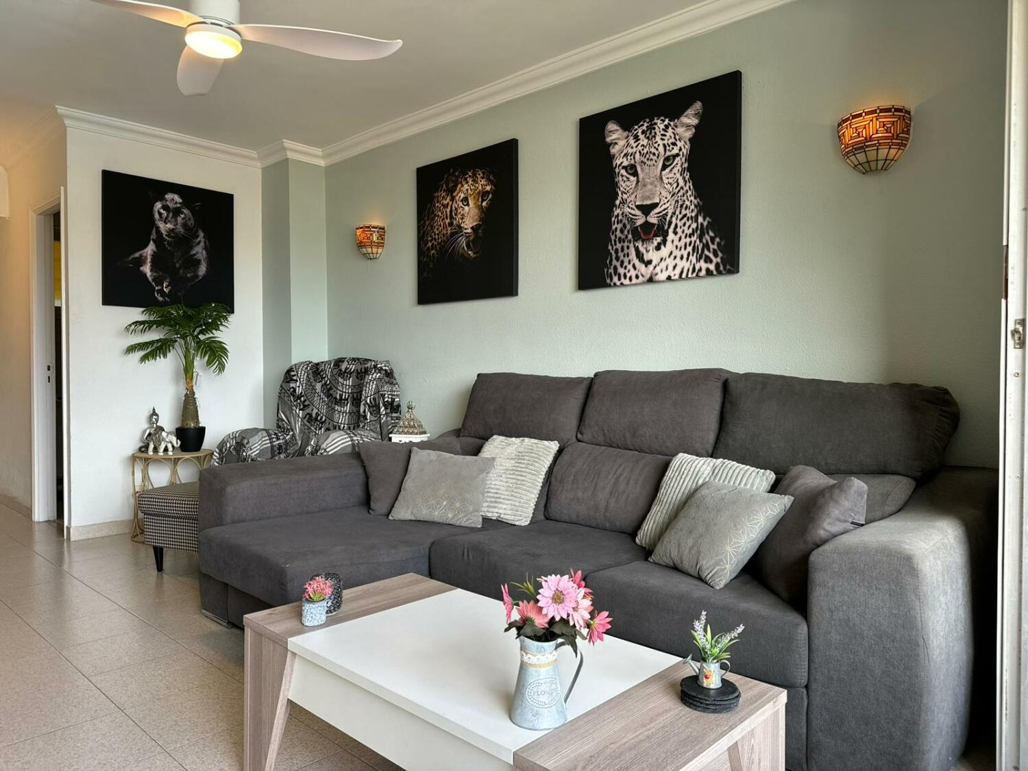 WhatsApp Image 2026-01-06 at 22.30.55 (4).jpeg