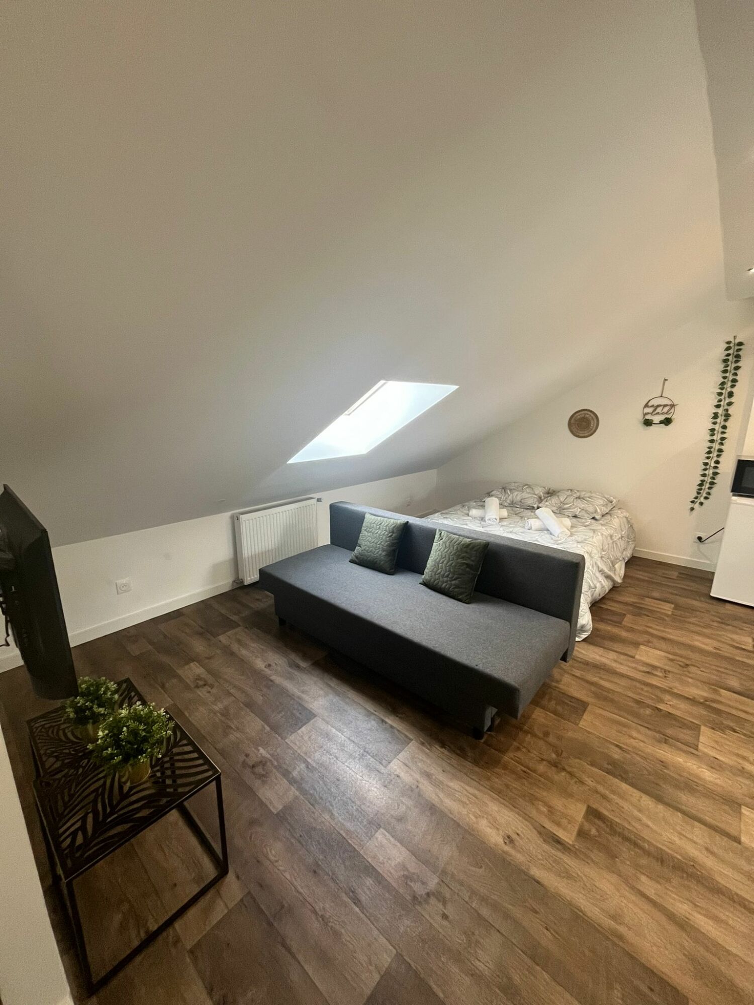 PHOTO-2024-04-09-21-21-37 2.jpg