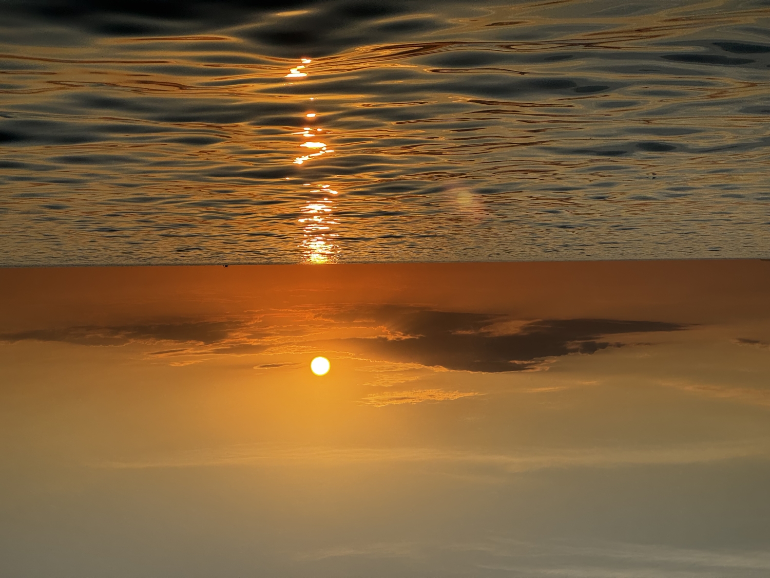 2024-12-19 17.53.30.jpg