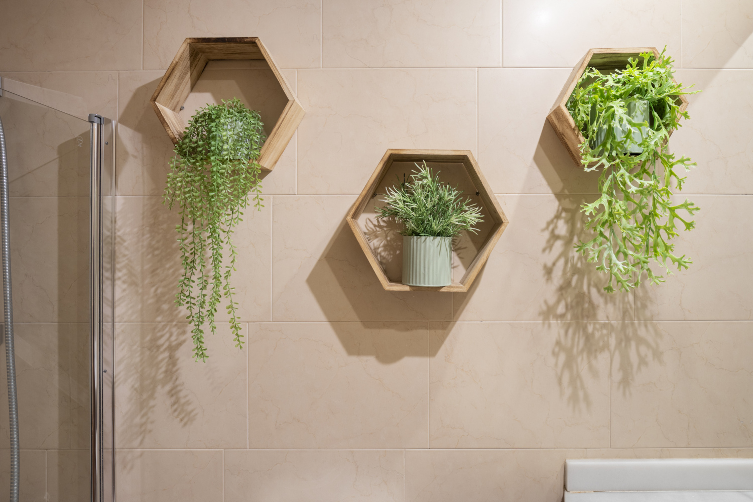 plantas en pared.jpeg