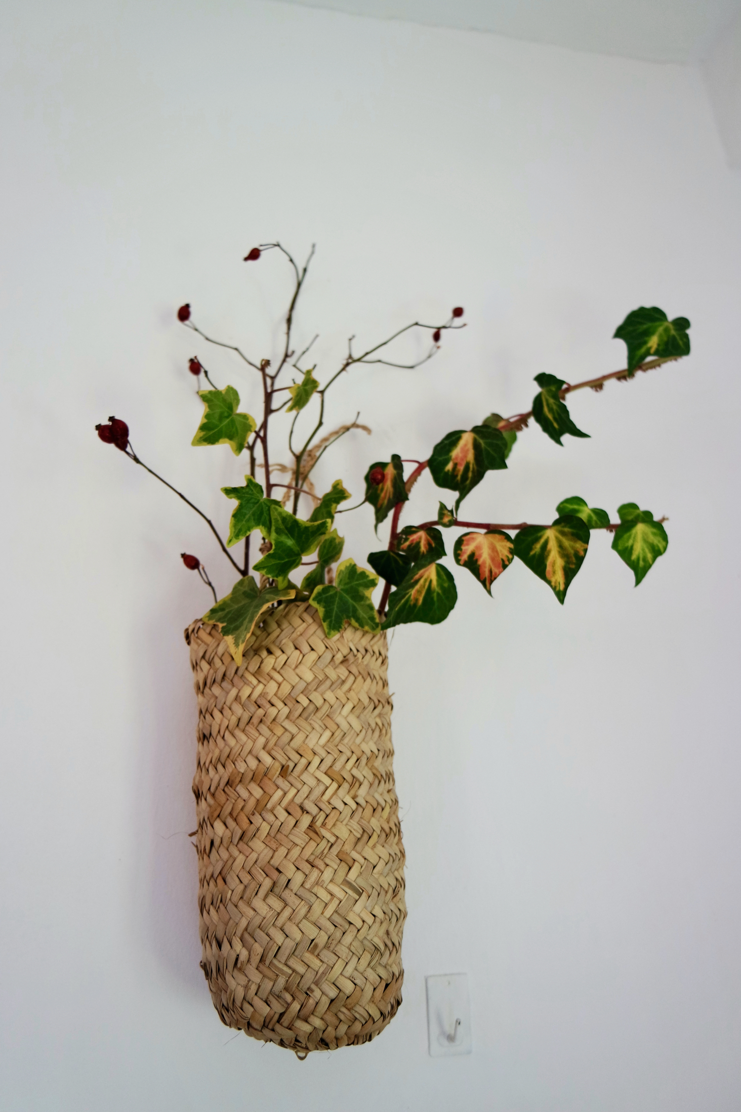 11 apartamento cocina.jpeg