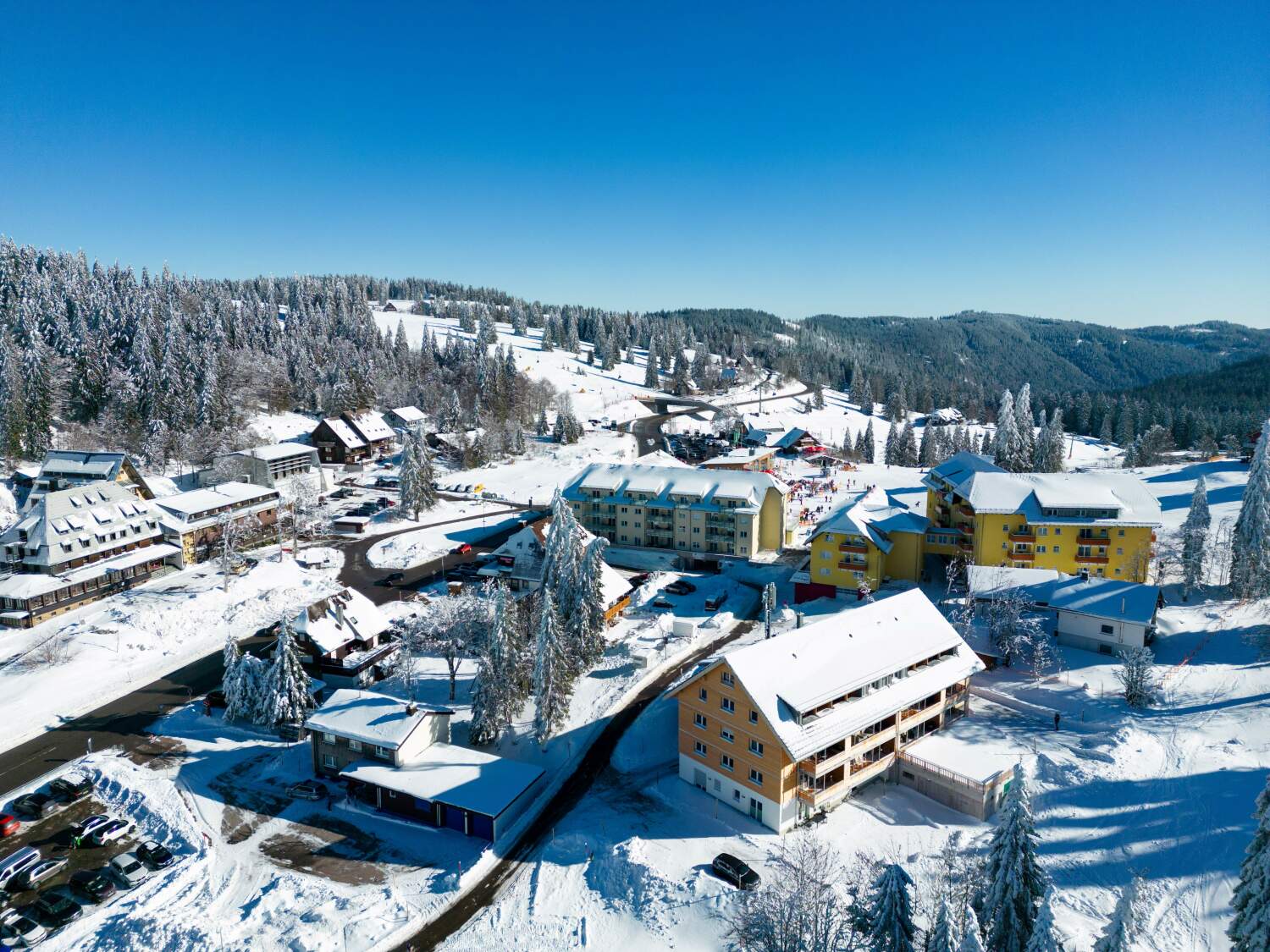 20230207_12.21.38 web.jpg