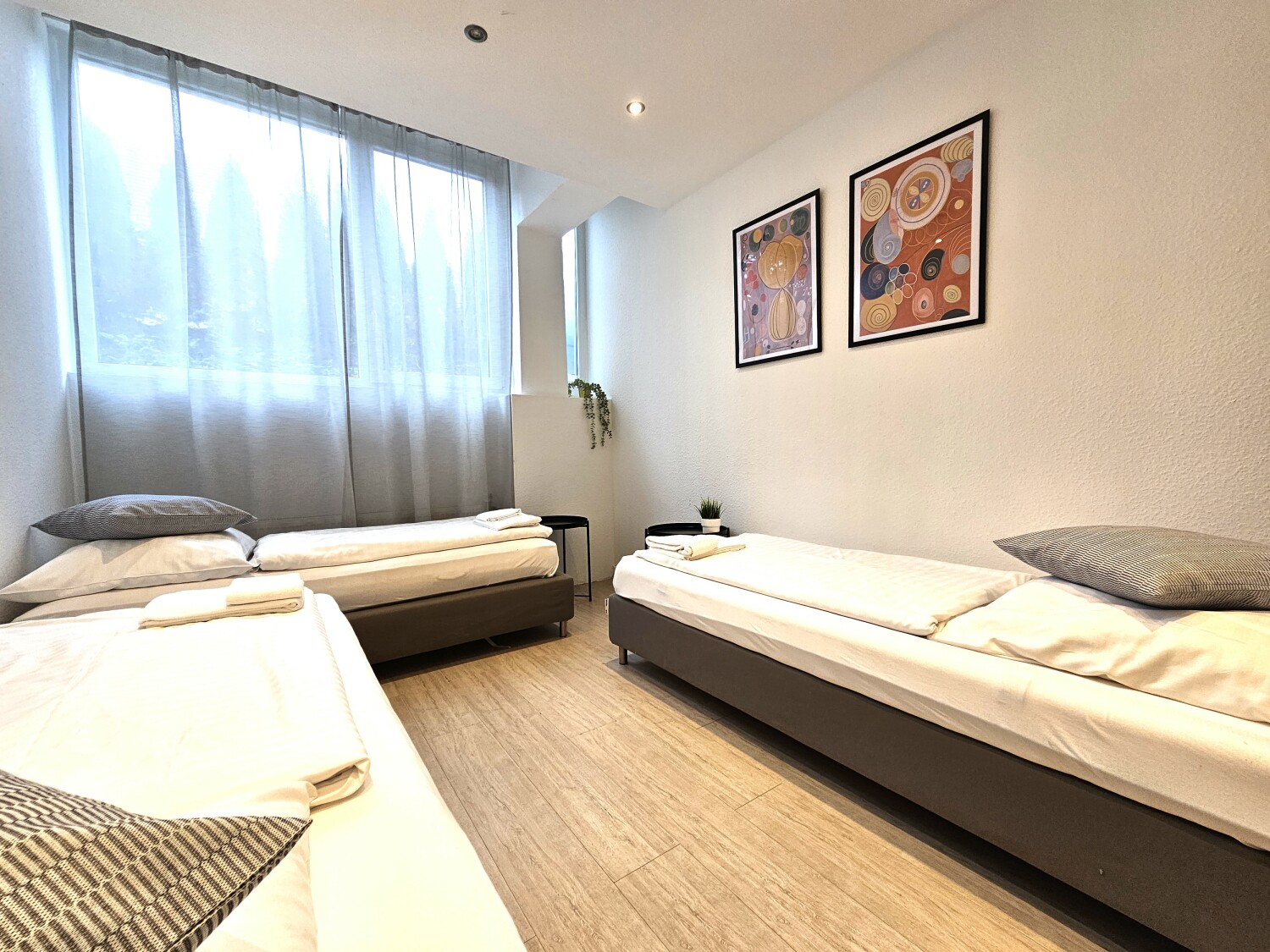 20240930_105646 - Kopie.jpg