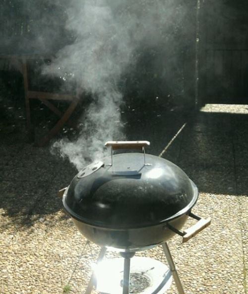 o LUVITERE naturist Cap Agde barbecue time.JPG